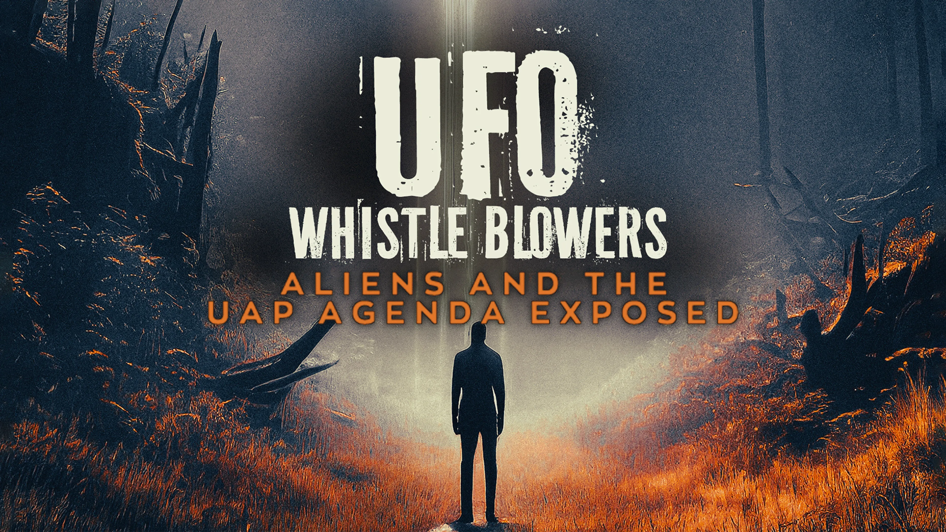UFO Whistleblowers: Aliens and The UAP Enigma Exposed poster